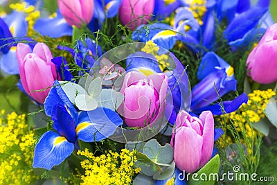 Bouquet. Violet irises and yellow tulips. Macro Stock Photo