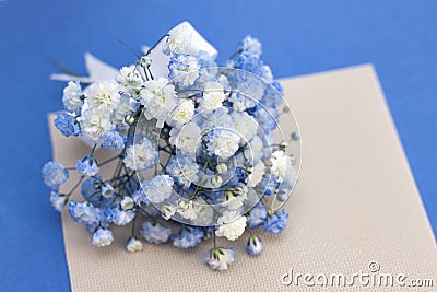 Bouquet of white-blue gypsophila flowers. Stock Photo