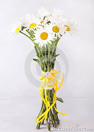 Bouquet of white daisies on a light gray background. Still life with colorful flowers. Fresh daisies Place for text. Flower Stock Photo