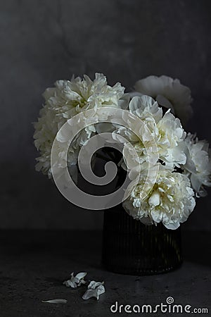 Bouquet white flowers peonies vase dark mood Stock Photo