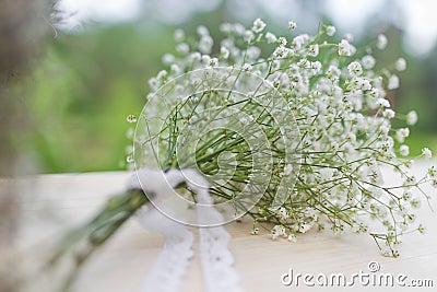 Bouquet of white gypsophila flowers Stock Photo