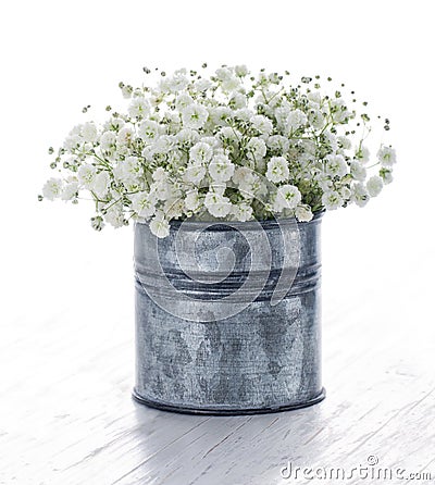 Bouquet of white gypsophila on wooden background Stock Photo