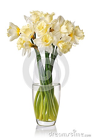 Bouquet from white narcissus in vase Stock Photo