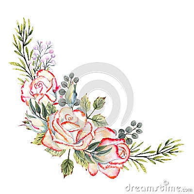 A bouquet of white roses with a pink edge, leaves, berries, decorative twigs. Watercolor illustrations for the design of Cartoon Illustration