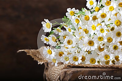 Bouquet of wildflowers, chamomile Stock Photo