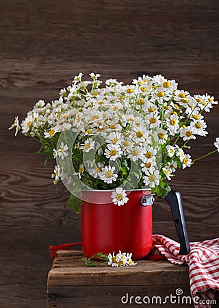 Bouquet of wildflowers, chamomile Stock Photo