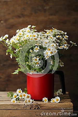 Bouquet of wildflowers, chamomile Stock Photo