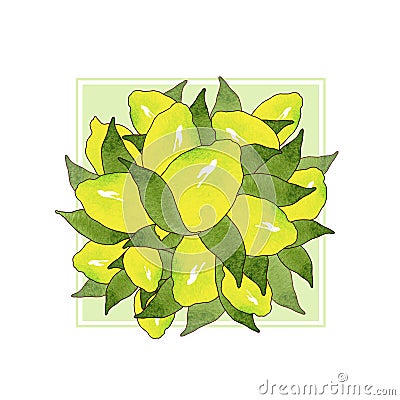 Bouquet of yellow lemon fruits with green leaves isolated on white background in beautiful style.Watercolor drawing citrus fruit Cartoon Illustration