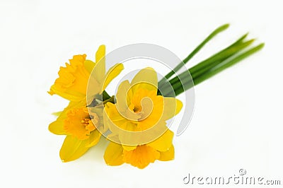 Bouquet of yellow narcissus Stock Photo