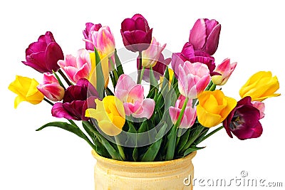 Bouquet of Yellow, Pink and Purple Tulips Stock Photo