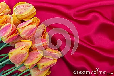 Bouquet of yellow red tulips on a bright red silk background.Flat lay.Copy space.Ð¡oncept of gifts, decorative design of Stock Photo