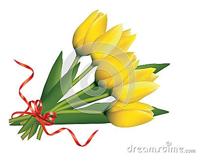 Bouquet of yellow tulips Vector Illustration