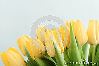Bouquet of yellow tulips Stock Photo
