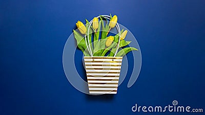 Bouquet of yellow tulips in paper striped bag on dark blue background. Concept of Women day, 8 March, Valentines day, mothers day Stock Photo