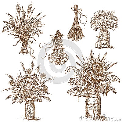 Bouquets of flowers, cereals and dried herbs in rustic style Vector Illustration