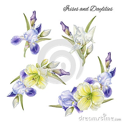 Bouquets of flowers. Iris and daylily Stock Photo