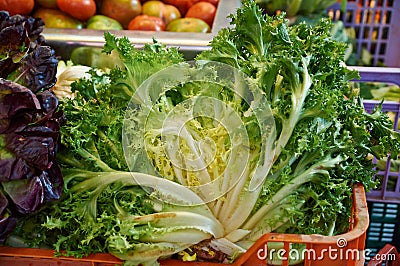 Bouquets of lush curly lettuce Stock Photo