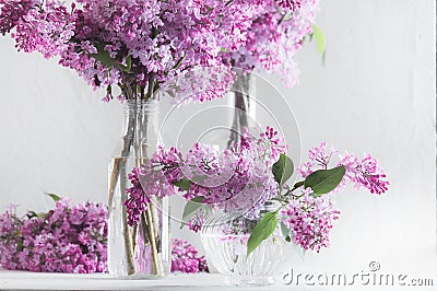 Bouquets of lush fresh purple lilac in glass vases. Stock Photo