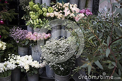 Bouquets of pink roses and red tulips, green hydrangea in pastel colors in large zinc buckets for sale in store Stock Photo