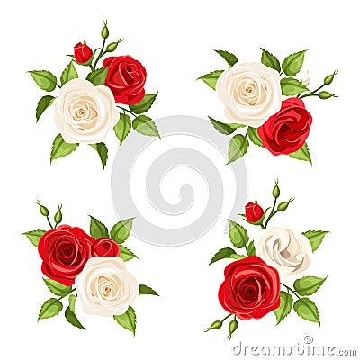 Bouquets of red and white roses. Vector set of four illustrations. Vector Illustration