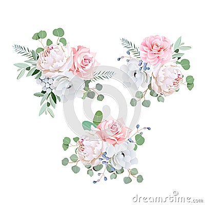 Bouquets of rose, peony, anemone, camellia, brunia flowers and eucaliptis leaves Vector Illustration