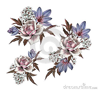 Bouquets of roses, crocuses and jasmine. Set of watercolor flowers Stock Photo