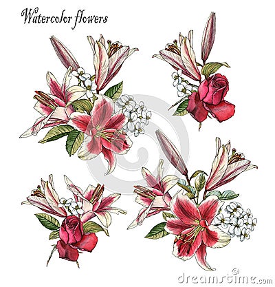 Bouquets of watercolor flowers. Set of watercolor lilies and roses Stock Photo