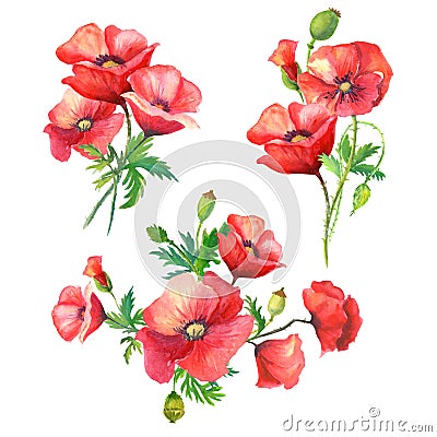 Bouquets Watercolor flowers. Cartoon Illustration