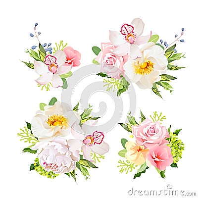 Bouquets of wild rose, orchid, peony, green hydrangea, pink flowers and blue berries Vector Illustration