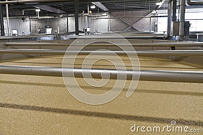 Bourbon Corn Mash Fermenting in Distillery Stock Photo