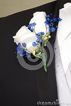 Boutonniere of white roses Stock Photo