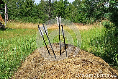 Bow and arrows in the hay stack Stock Photo