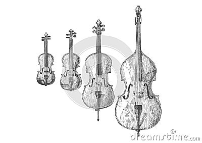 Bowed string instruments Vector Illustration