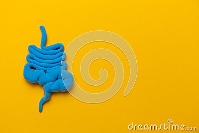 Bowel model on yellow background. Irritable Bowel Syndrome. Copy space for text Stock Photo