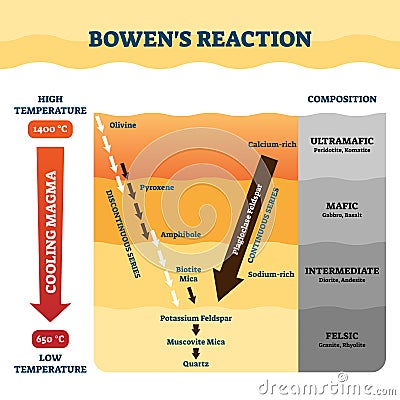 Bowens reaction vector illustration. Labeled petrology work explanation. Vector Illustration