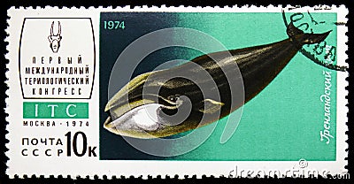 Bowhead Whale (Balaena mysticetus), 1st International Theriological Congress (ITC) serie, circa 1974 Editorial Stock Photo