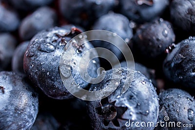 Bowl of Blueberries Stock Photo