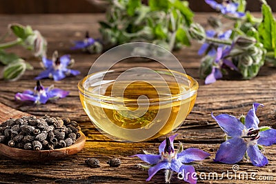 A bowl of borage oil and borage seeds and flowers Stock Photo