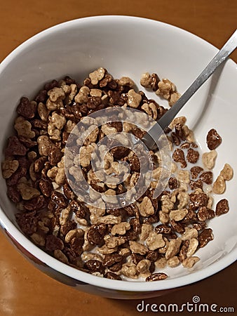 A bowl of cereal, chocolate flavour Stock Photo