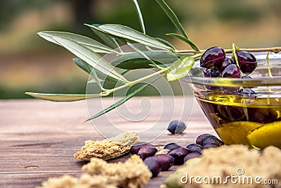 Bowl with extra virgin olive oil, olives, a fresh branch of olive tree and cretan rusk dakos close up. Stock Photo