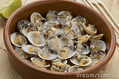 Bowl with fresh cooked common cockles Stock Photo