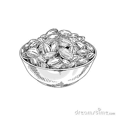 Bowl full of almond nuts, retro hand drawn vector illustration. Vector Illustration