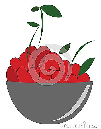 Bowl full of fresh cherries vector illustration Vector Illustration