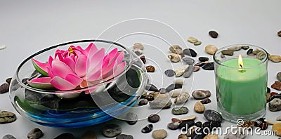 Bowl with rose lily Stock Photo