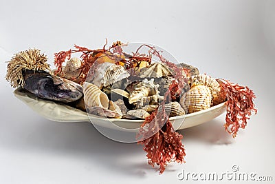 a bowl of sea shells with seweed Stock Photo