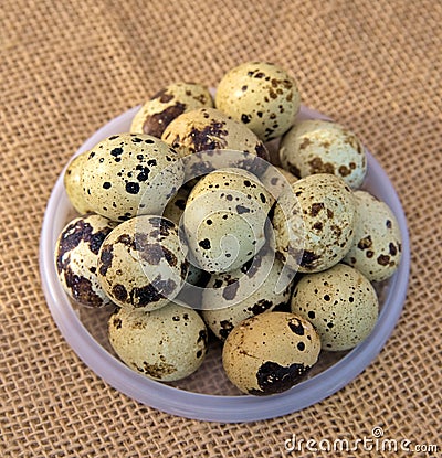 A bowl of speckled quail eggs on a burlap background Stock Photo