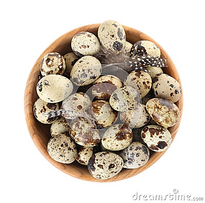 Bowl with speckled quail eggs and feathers isolated on white, top view Stock Photo