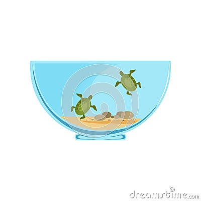Bowl terrarium with little swimming turtles. Marine reptiles concept. Domestic animals. Home decoration. Graphic vector Vector Illustration