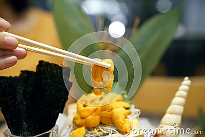 A bowl of uni sashimi on ice served with shredded radish, Fresh sea urchin roe. Stock Photo