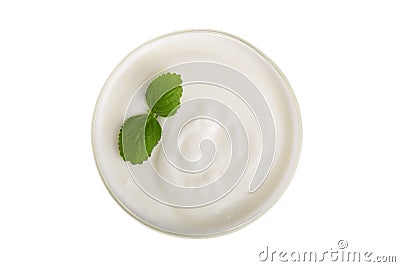 Bowl of yogurt with mint leaf isolated on white background top view Stock Photo